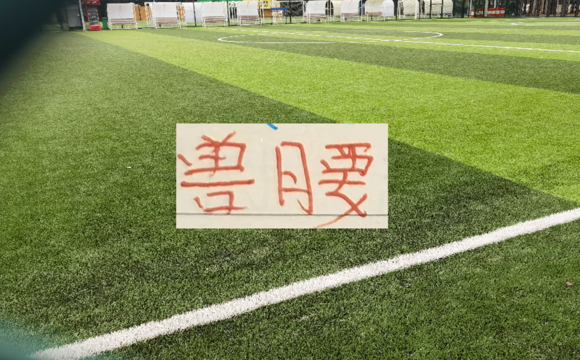 开云体育官网-中超豪门后腰 海港跟北京国安非洲腰还需要时间验货